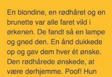 En blondine, en rødhĂĄret og en brunette var faret vild i ørkenen…