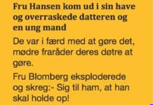 Datteren og den unge mand i haven…