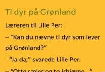 Lille Per skulle nævne 10 vilde dyr på Grønland