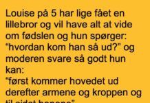 Louise pĂĄ 5 ĂĄr har lige fĂĄet en ny lillebror…