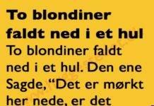 To blondiner faldt ned i et hul….