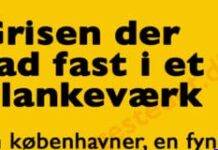 En københavner, en fynbo og en jyde kommer gĂĄende da de ser en gris der sidder fast…