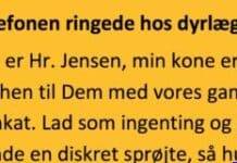 Telefonen ringer hos dyrlægen