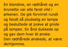 En blondine, en rødhåret og en brunette er faret vild i ørkenen