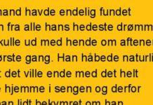 Manden havde endelig fundet pigen fra hans drømme