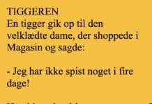 Tiggeren