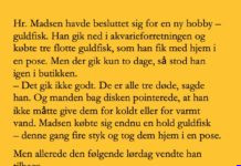 En mand havde besluttet sig for at fĂĄ en ny hobby…