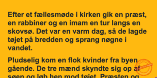Den hurtige dukkert
