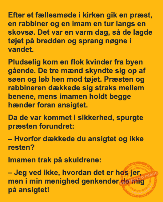 Den hurtige dukkert